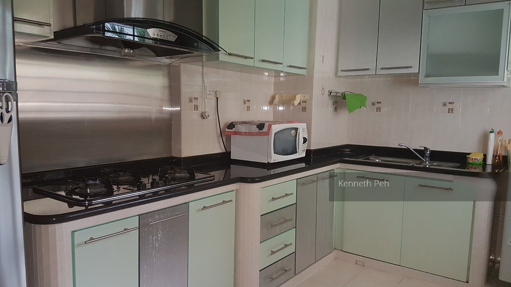 Blk 269A Compassvale Link (Sengkang), HDB 4 Rooms #139384612